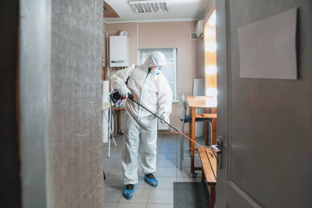 Best Emergency Mold Remediation  in Mescal, AZ